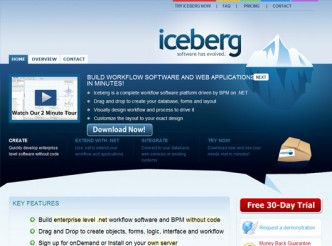 Iceberg Software