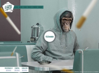 Le singe fume