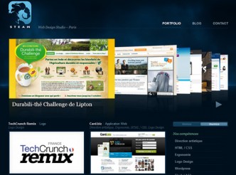 Steaw Webdesign