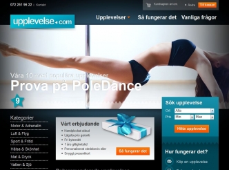 upplevelse