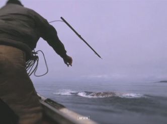 WWF- 40 ans d’engagement